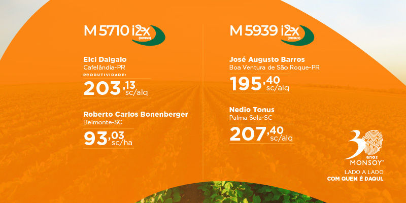 Resultados Safra 24/25