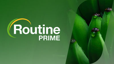 Routine Prime