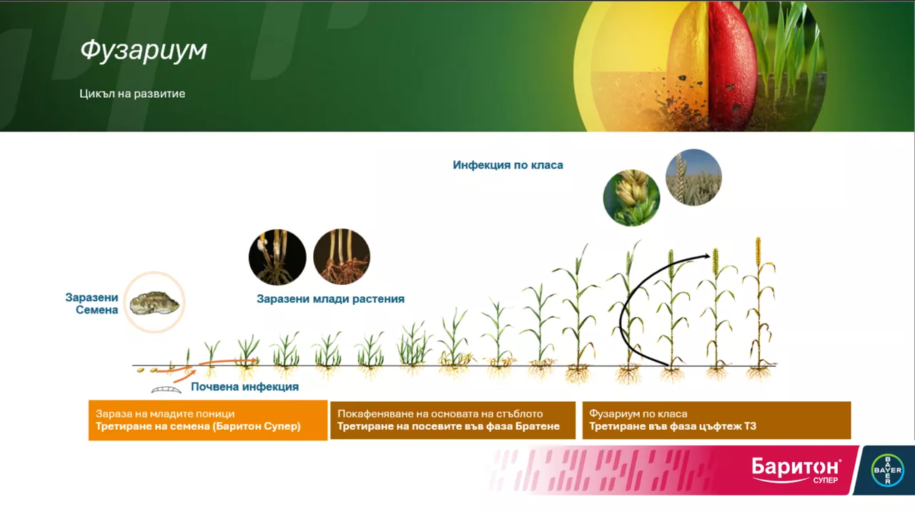 New Microsoft PowerPoint Presentation.pptx - 3