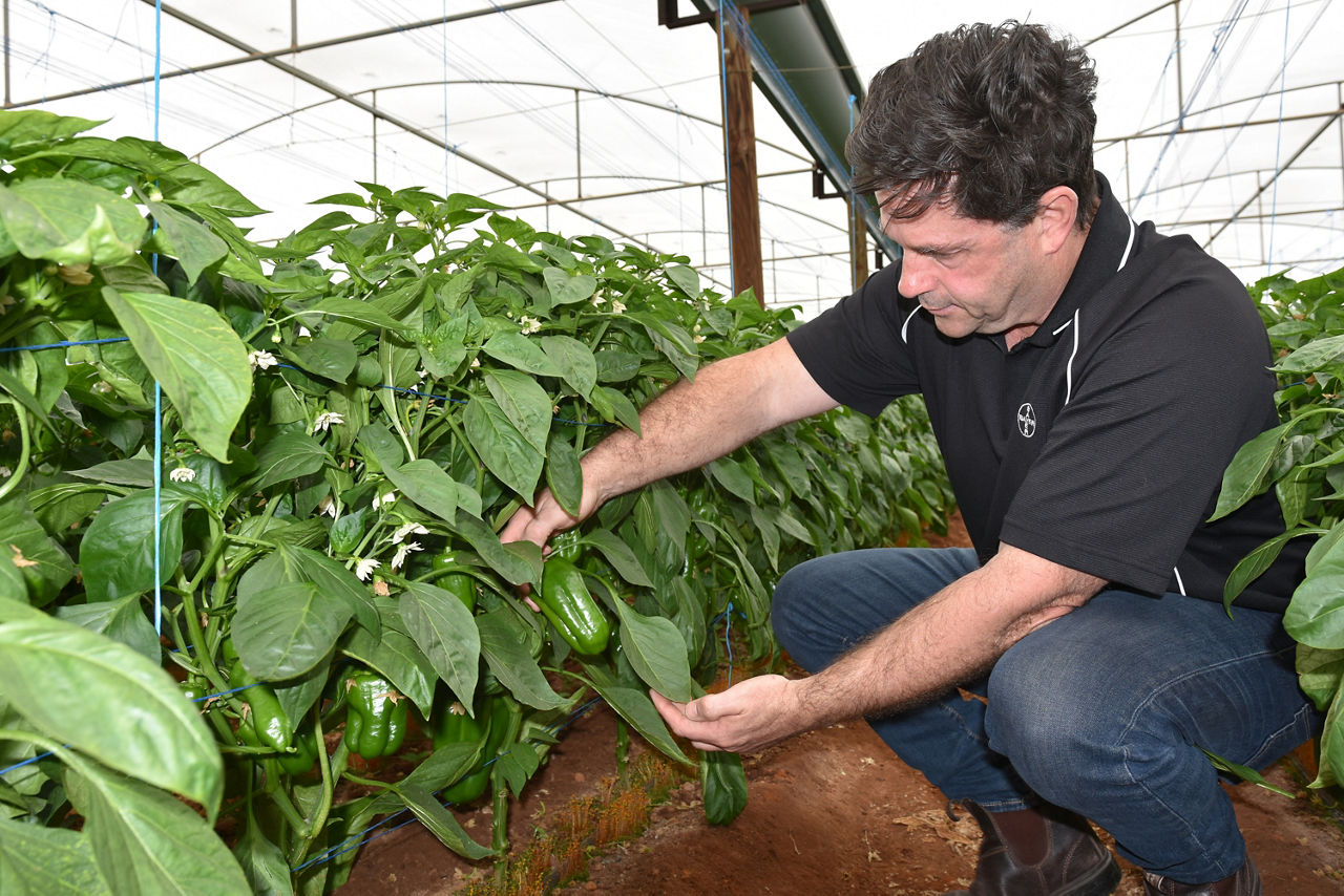 Darren Alexander - Luna Experience