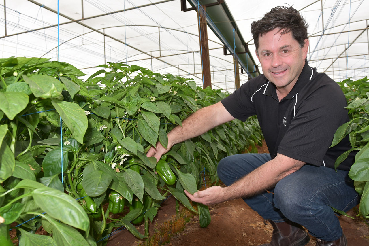 Darren Alexander - Luna Experience - Image 2