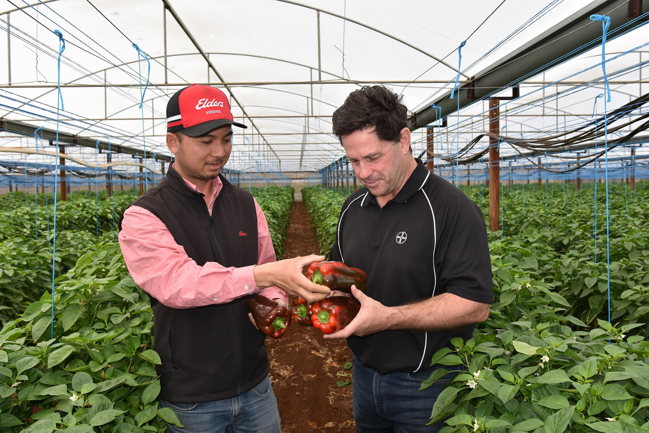 Luna Experience SA - Darren Alexander and Mong Van Tran - Image 3