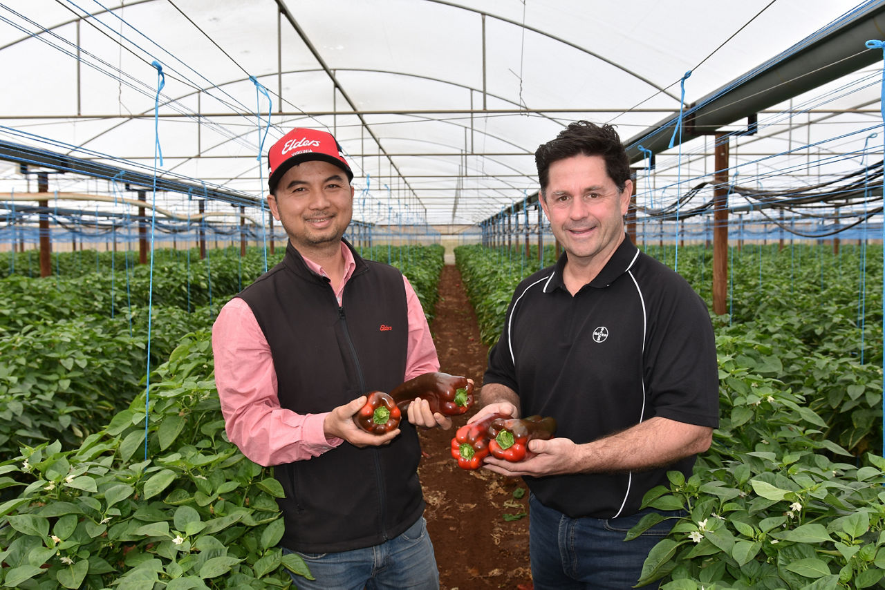 Luna Experience SA - Darren Alexander and Mong Van Tran - Image 4