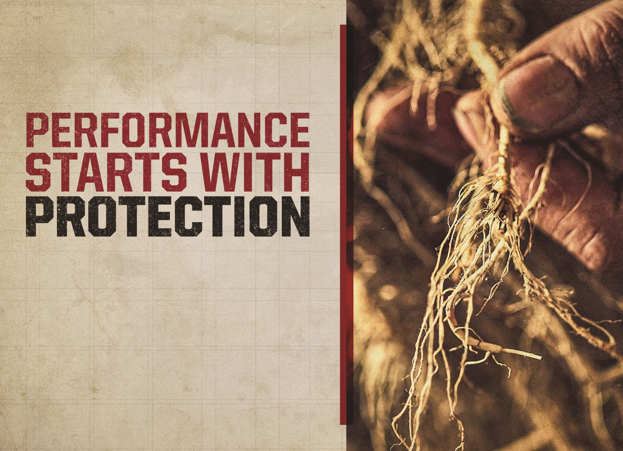 Promo Tools of Performance Starts With Protection, Your Roots and Defense Run Deep.