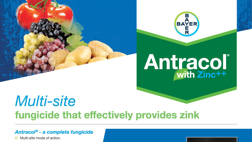 Antracol® with Zinc++