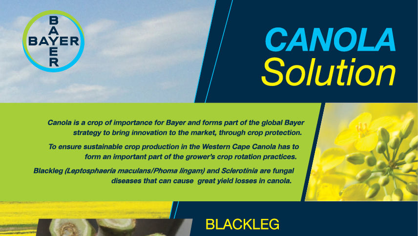 Canola Solution