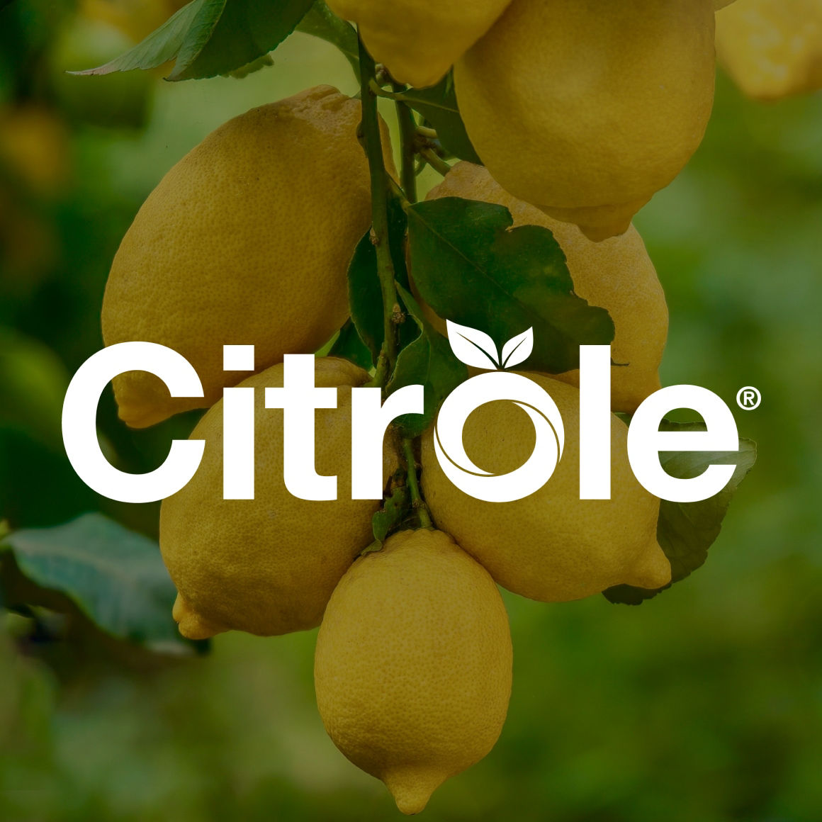 Citrole