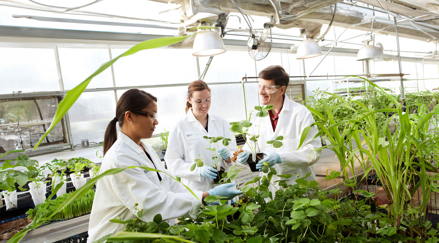Bayeri Grants4Ag programm rahastab 21 teadlast üle maailma