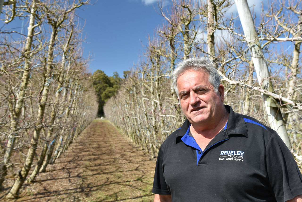 Tony Trichilo - Perth Hills Grower