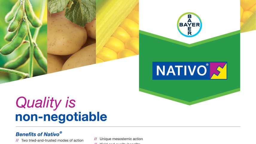 Nativo®