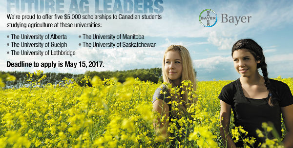 Students standing in a canola field