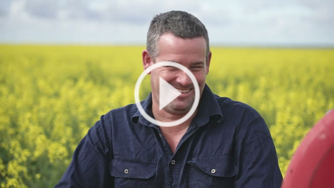 Benefits of Truflex® canola for growers