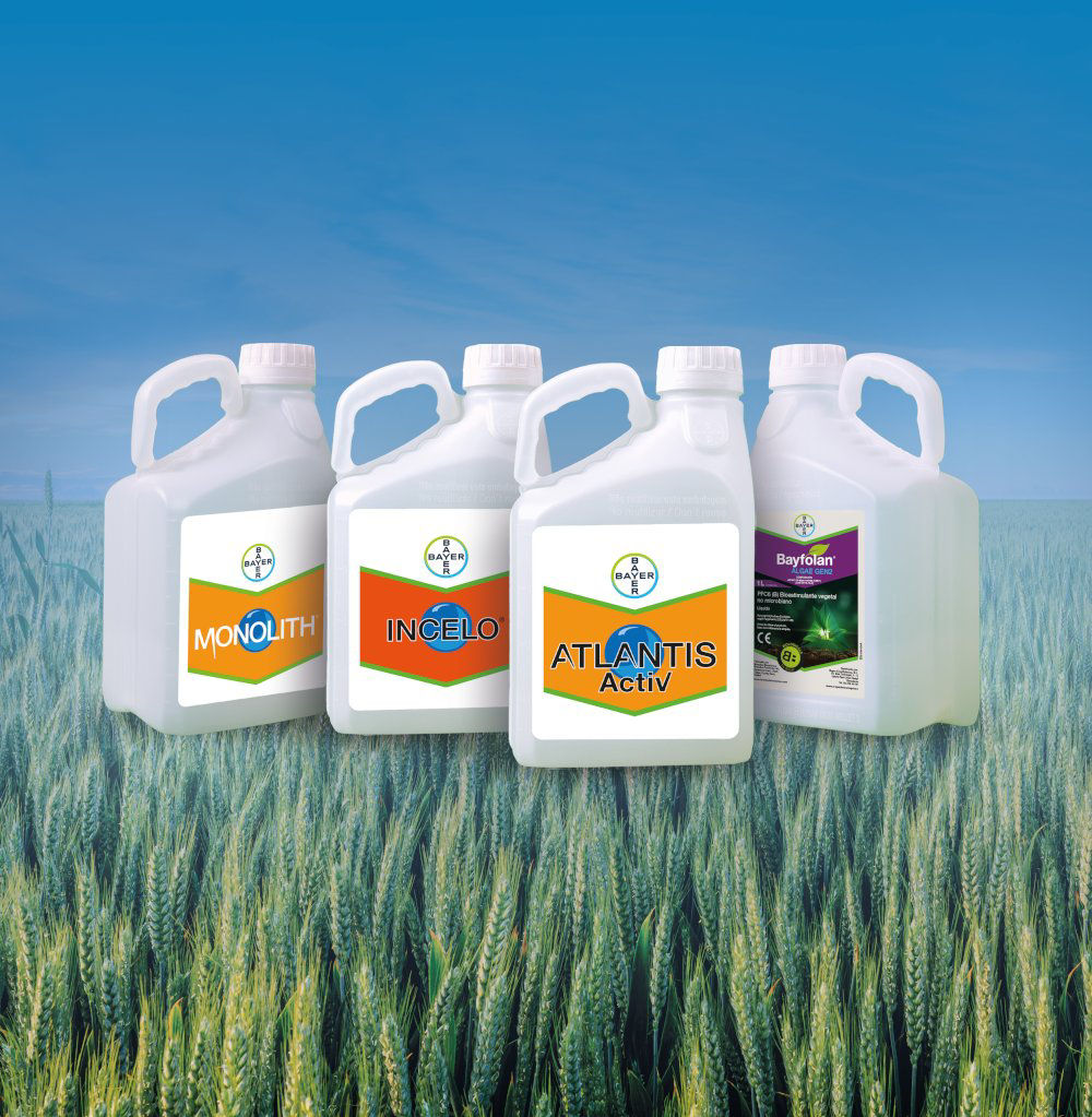 Monolith, Incelo, Atlantis Activ y Bayfolan Algae 