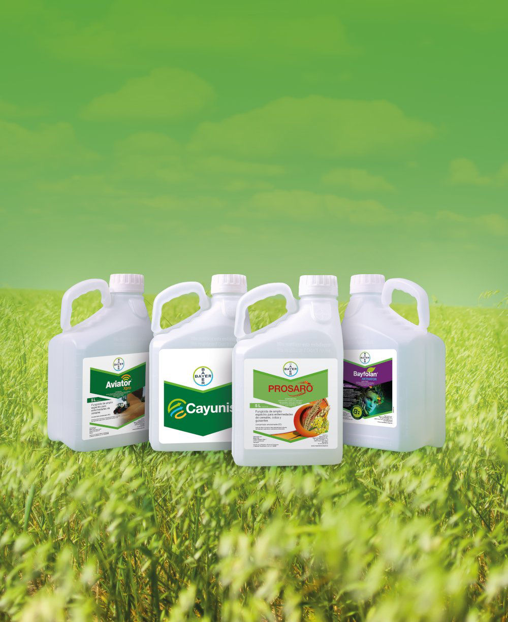 Aviatror Xpro, Cayunis, Prosaro y Bayfolan Aktivator