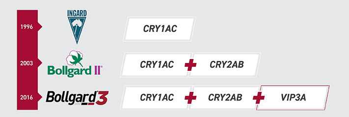 Bollgard 3 Web Asset