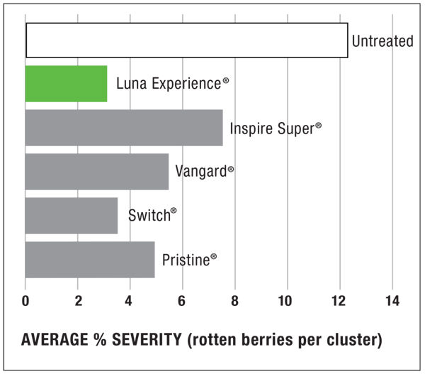 Yield Study