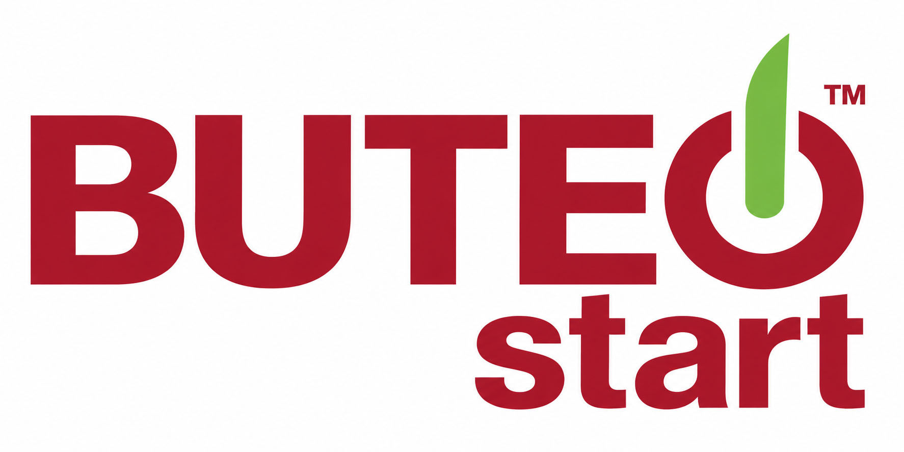 Buteo_start.jpg