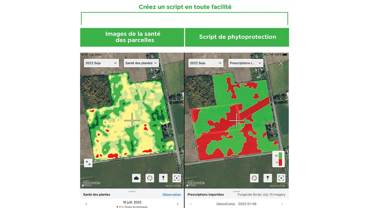 FieldView Scripting