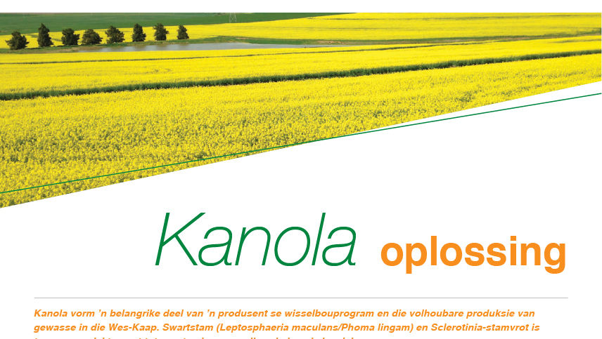 Kanola-oplossing