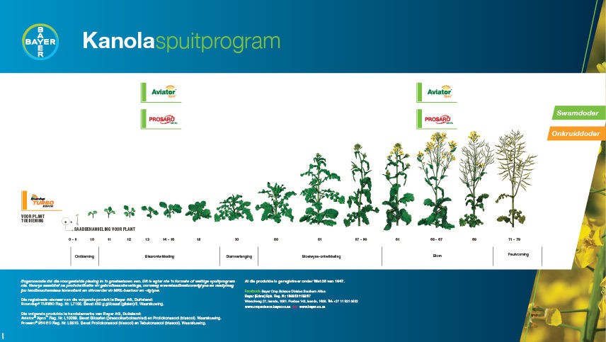 Kanolaspuitprogram