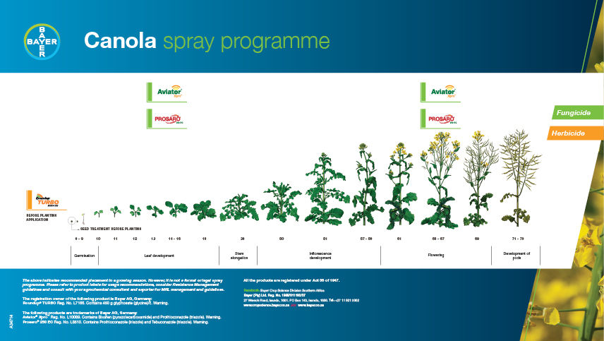 Canola Spray Programme