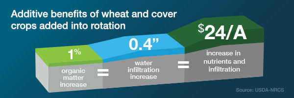 Cereal Crop Additive Benefits