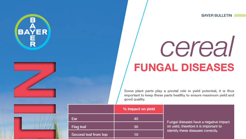 Fungal Diseases