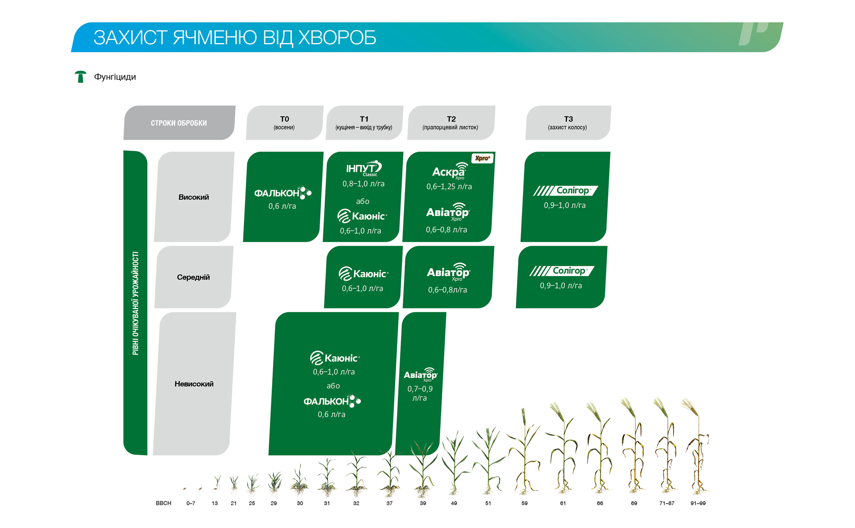 cereals barley diseases