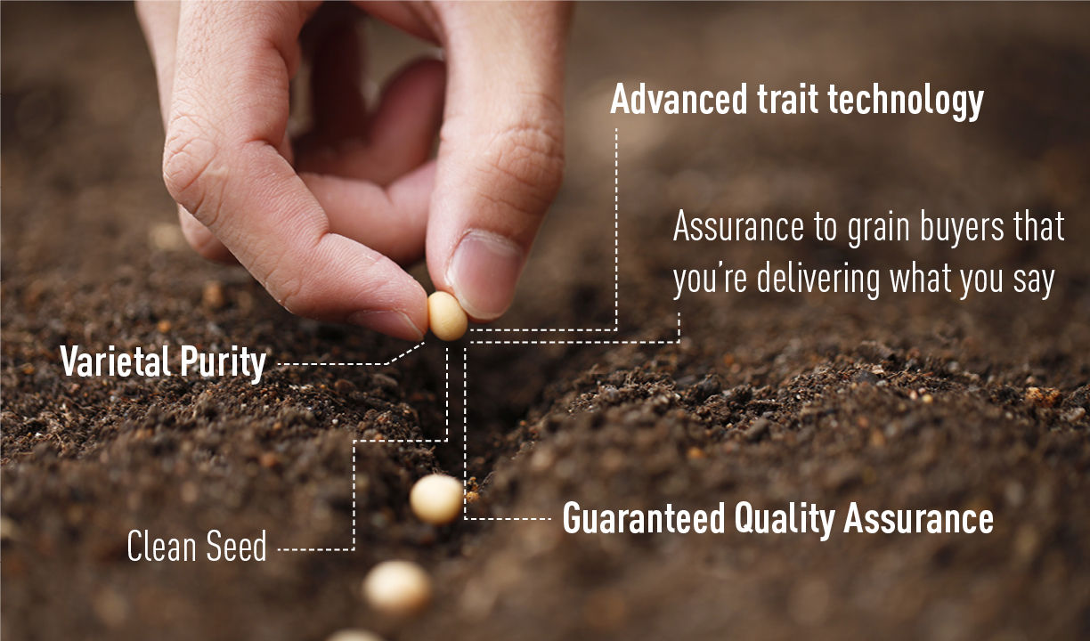 Certified Seed