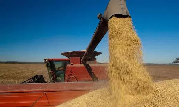 Colheitadeira de soja despeja grãos no caminhão transbordo: máquinas agrícolas como essa aumentaram a eficiência das operações no campo