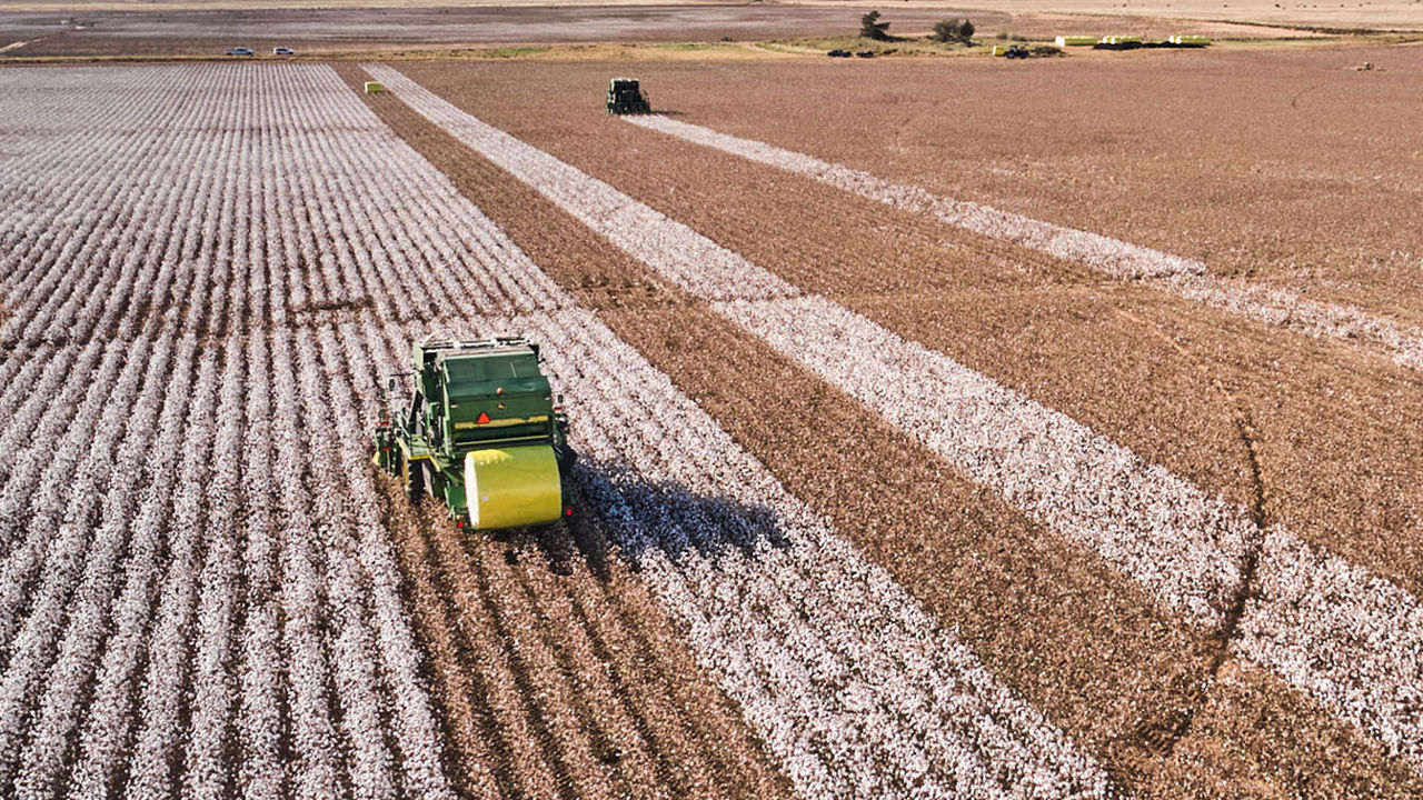 Aerial view of multiple cotton pickers in the field 