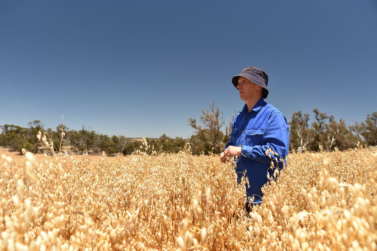 Cropping Manager - Duncan Burt - Photo 2