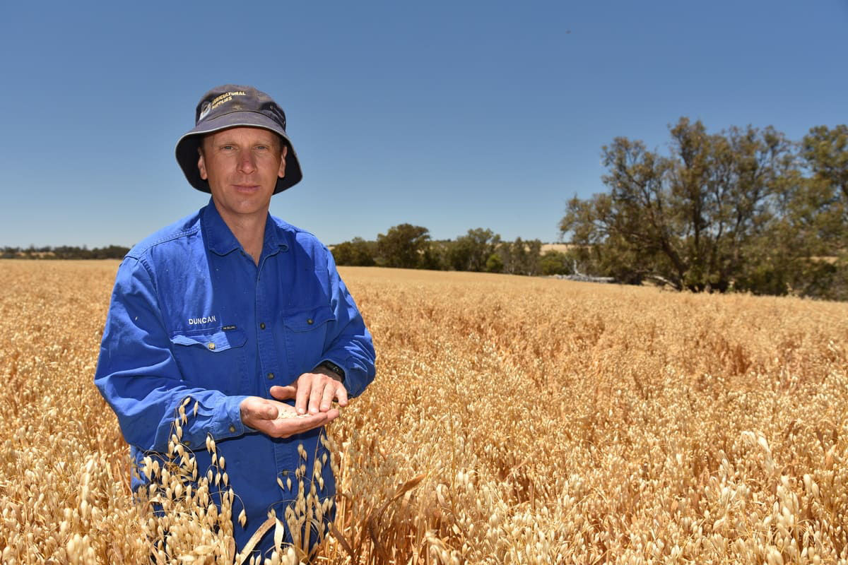 Cropping Manager - Duncan Burt