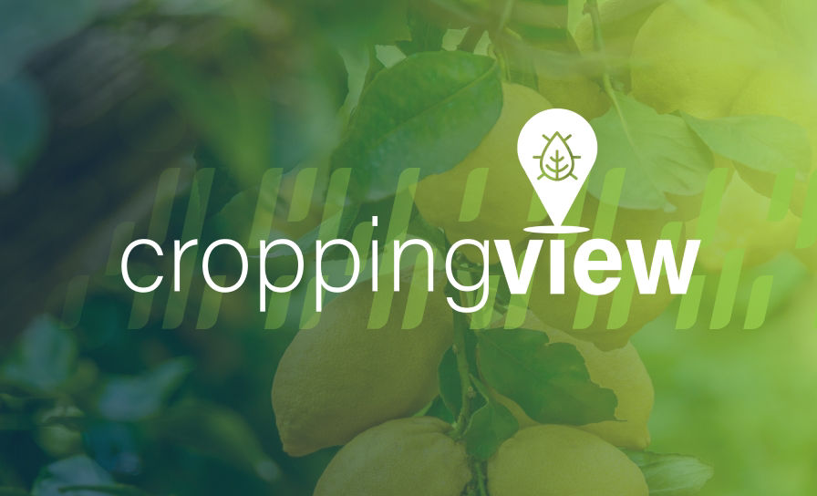 CroppingView