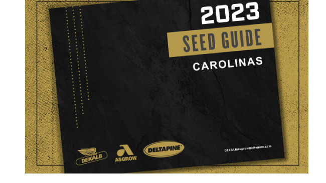 Promo Tools of Download Local Seed Guides