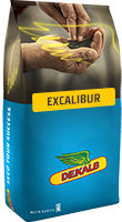 DK Excalibur_