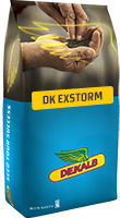DK Exstorm_