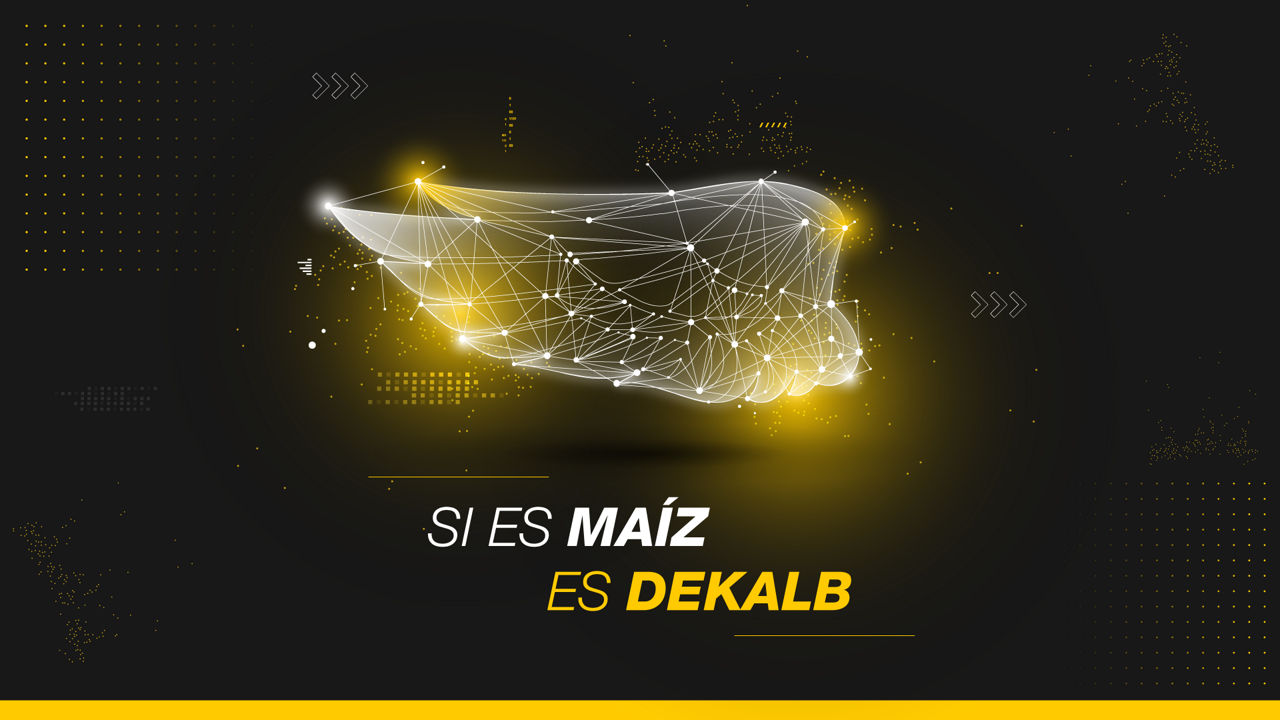 Si es Maíz, es Dekalb