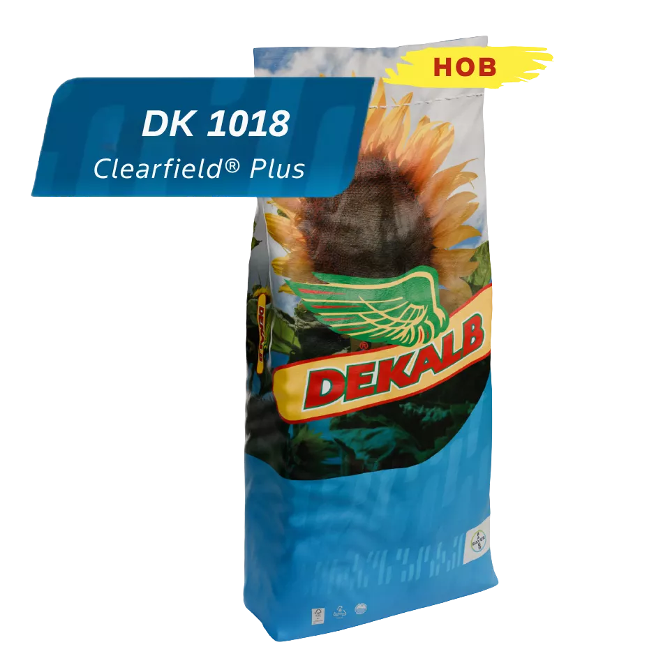 dk-1018_mainImage
