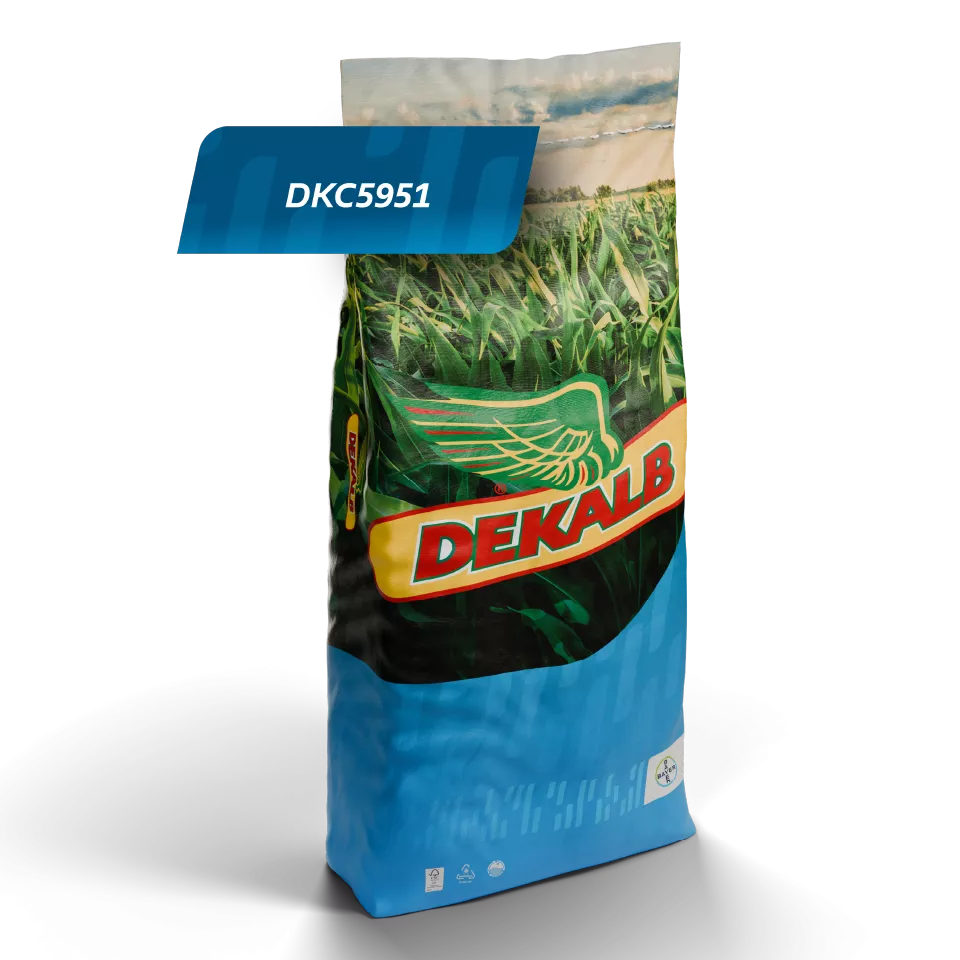 DKC5951_DKC5951