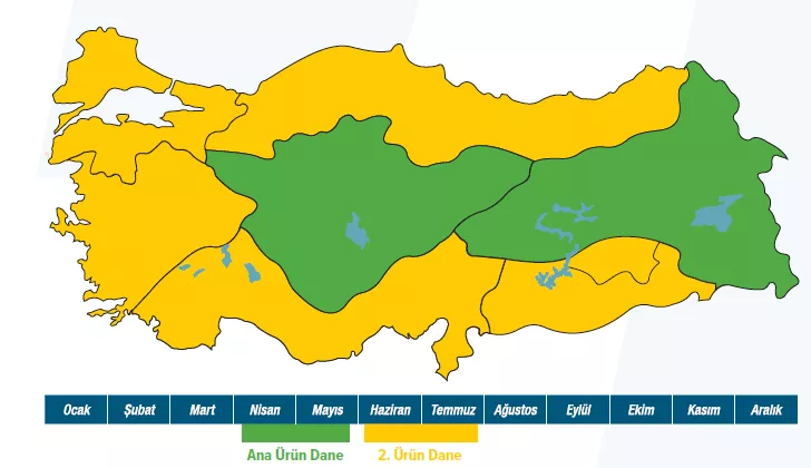 DKC5951 map