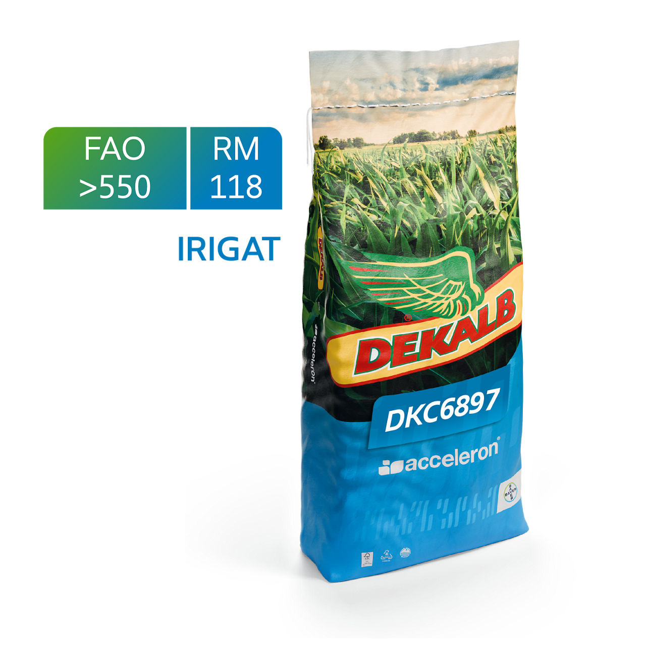DKC6897 | Bayer