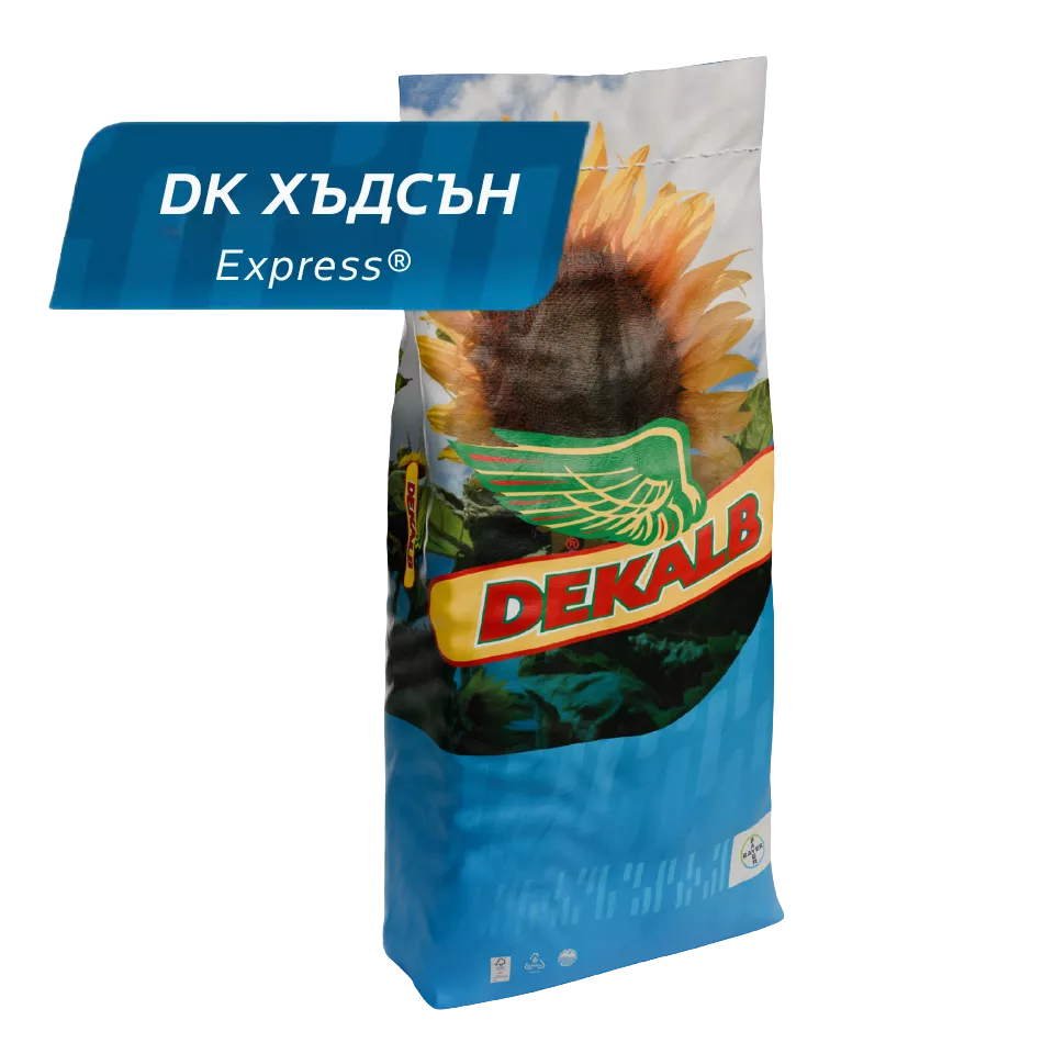 dk-h-ds-n_mainImage
