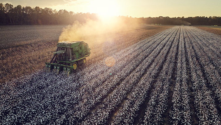 Deltapine® Brand Cotton