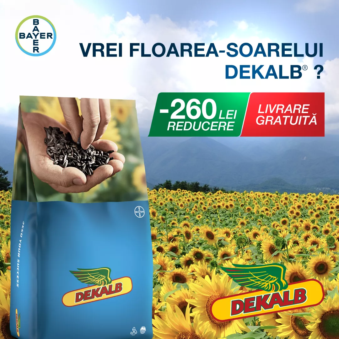 Voucher floarea soarelui DEKALB