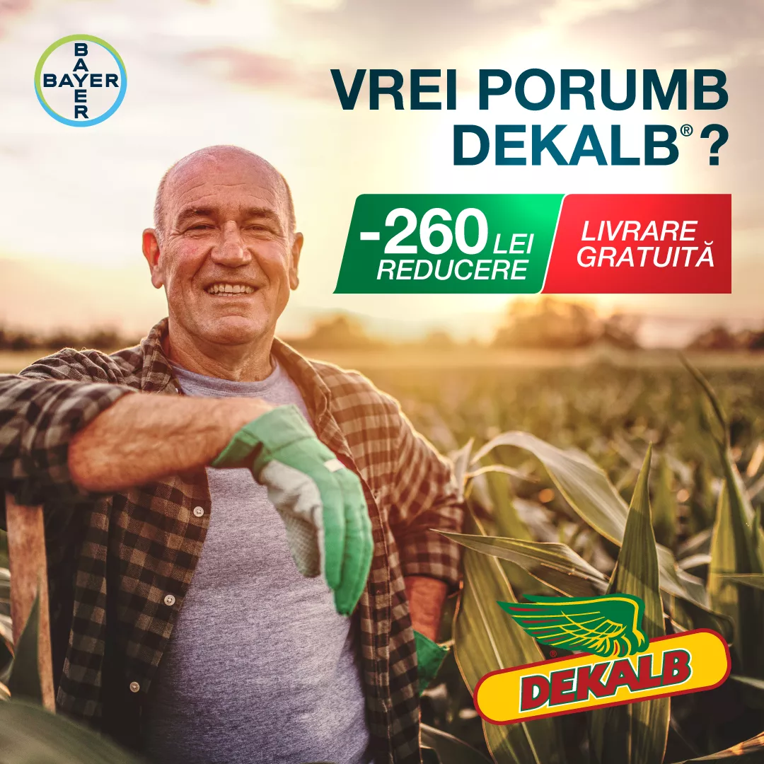 Voucher porumb DEKALB