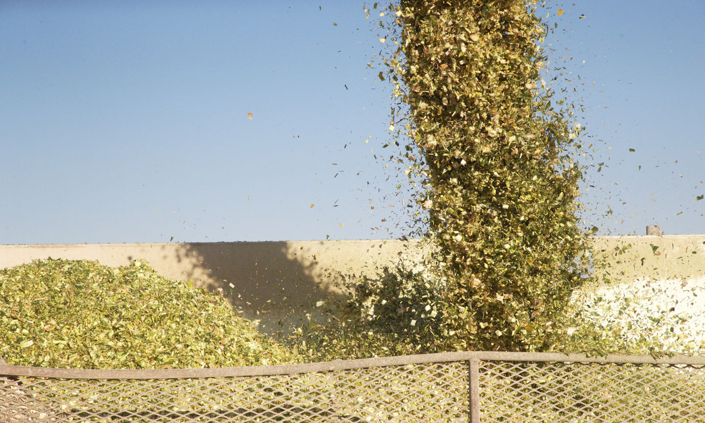 Interpreting Corn Silage Quality Test Results