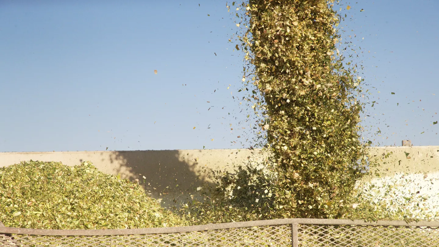 Interpreting Corn Silage Quality Test Results