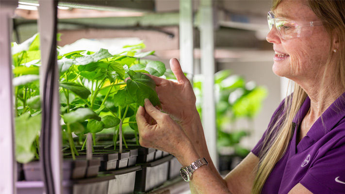Serenade Soil expert Denise Manker from Bayer
