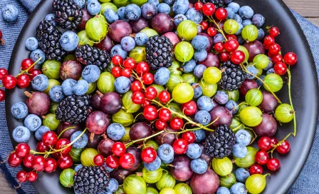 Soluções Bayer para Produtores de Frutos Vermelhos